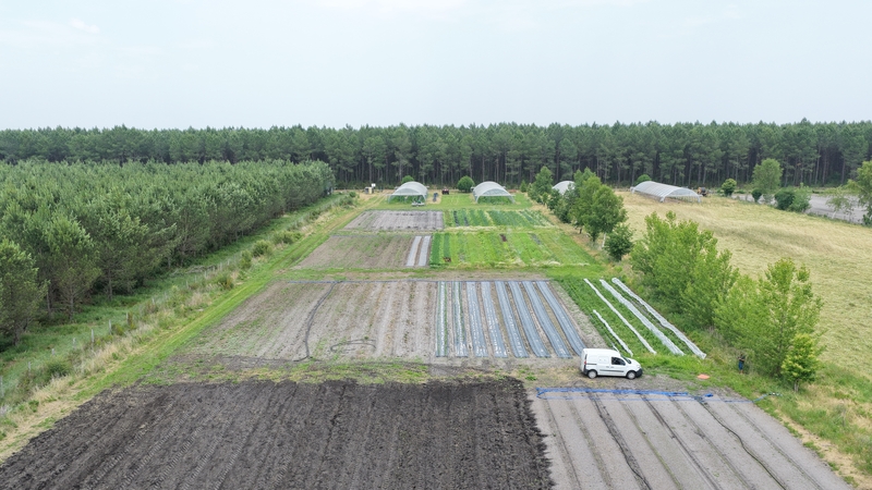 Suivi de chantier plantation de poireaux